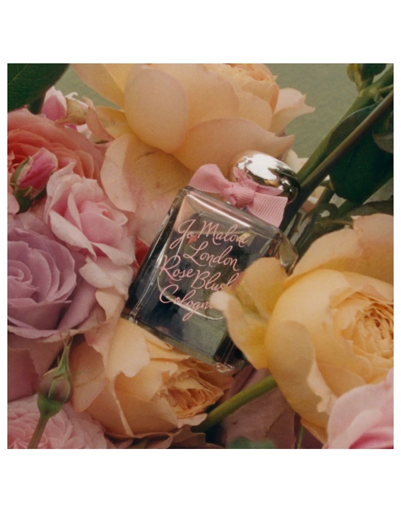 Rose Blush Cologne