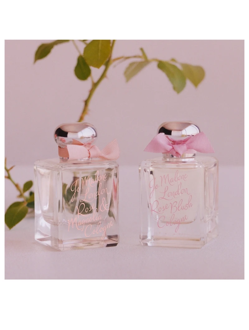 Rose Blush Cologne