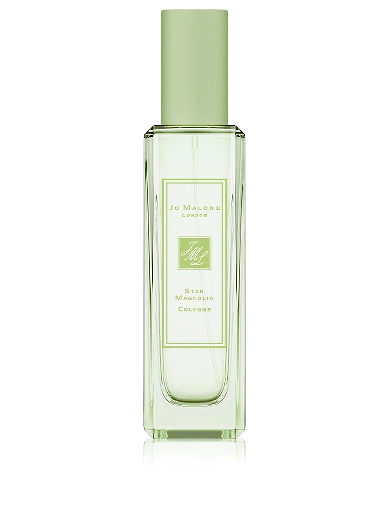 Star Magnolia Cologne