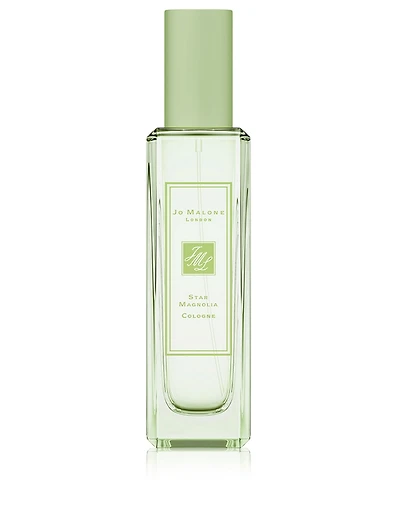 Star Magnolia Cologne