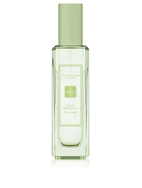 Star Magnolia Cologne