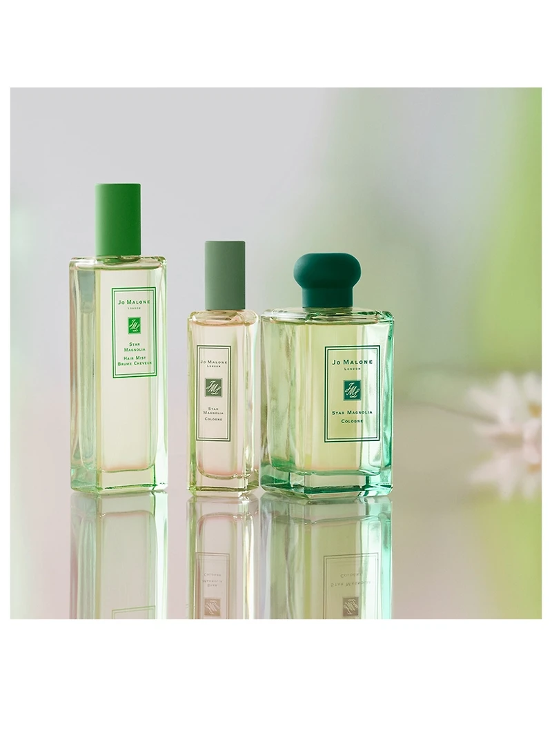 Star Magnolia Cologne