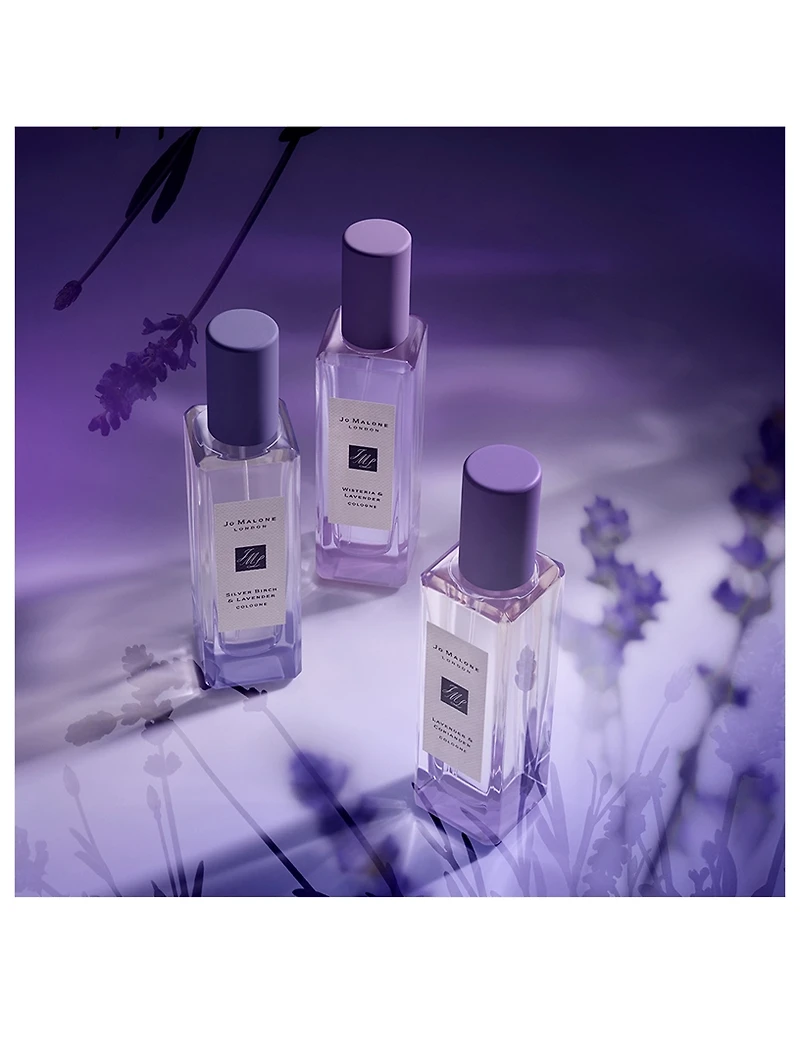 Silver Birch & Lavender Cologne