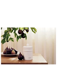 Fresh Fig & Cassis Candle