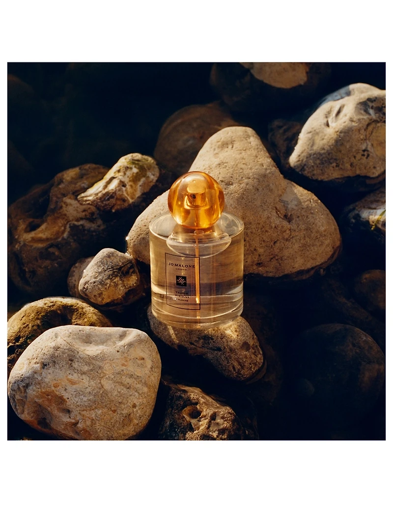 Yellow Hibiscus Cologne