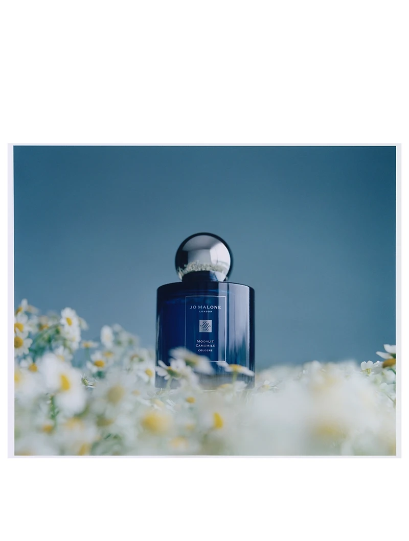 Moonlit Camomile Cologne