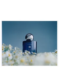 Moonlit Camomile Cologne