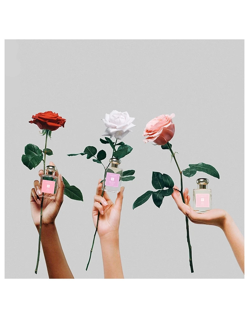 Rose Water & Vanilla Cologne