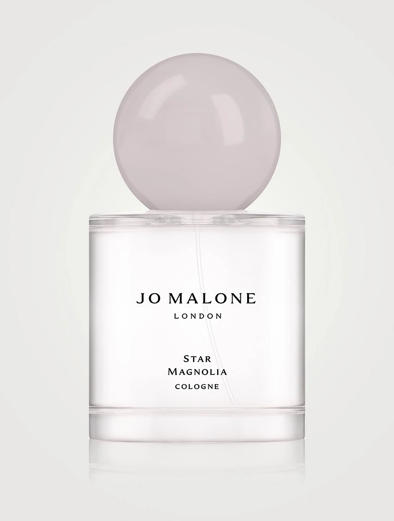 Star Magnolia Cologne