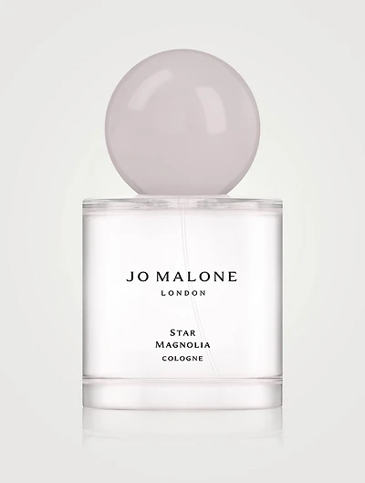 Star Magnolia Cologne