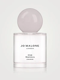Star Magnolia Cologne