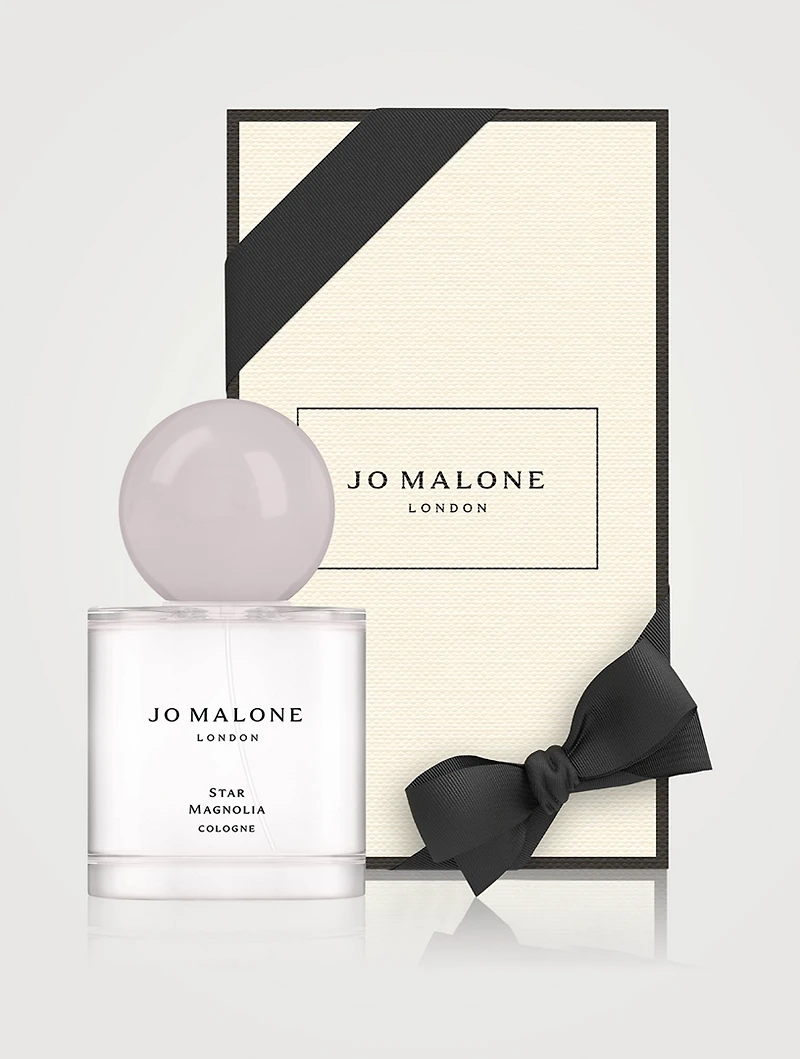 Star Magnolia Cologne