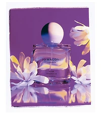 Star Magnolia Cologne