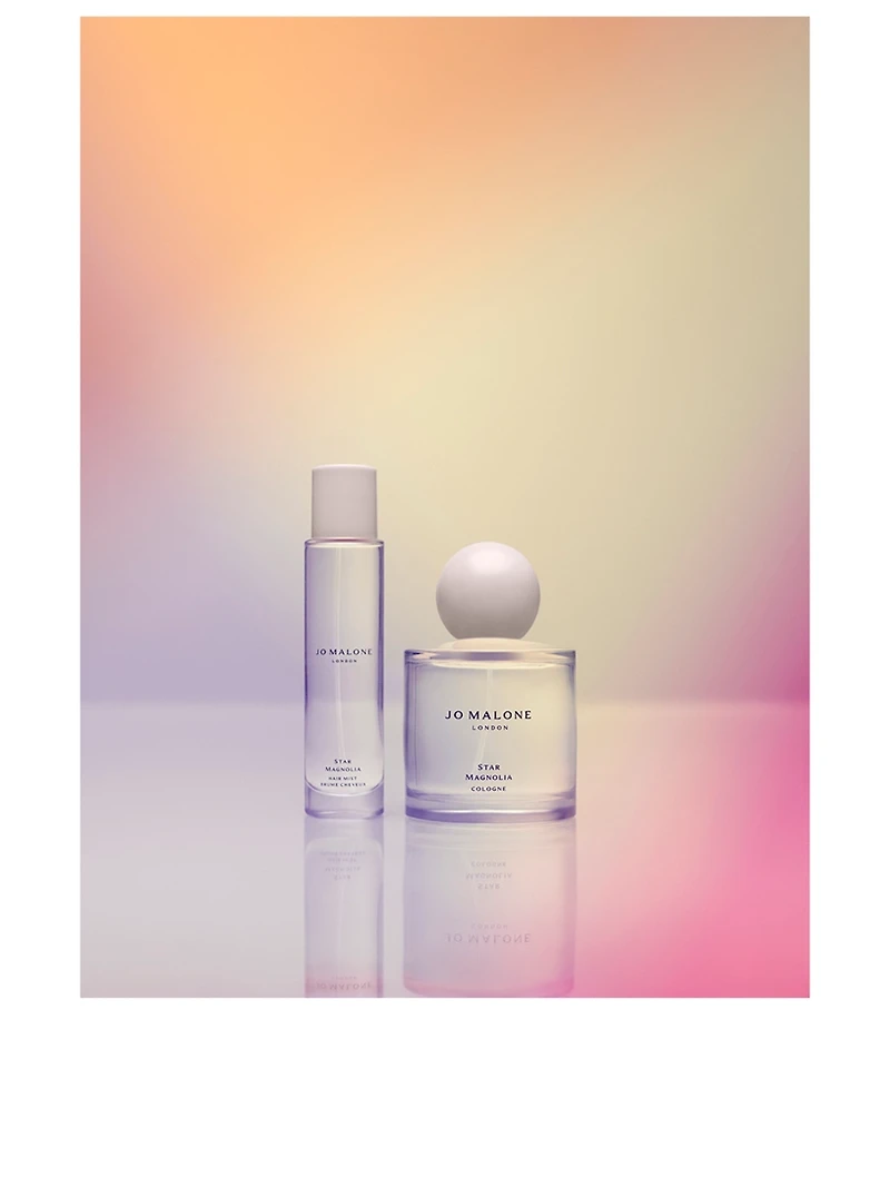 Star Magnolia Cologne