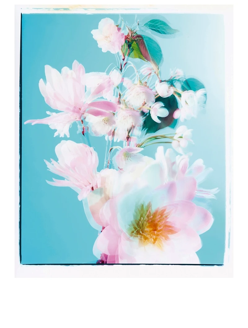 Nashi Blossom Cologne
