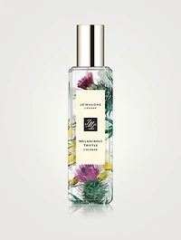 Melancholy Thistle Cologne