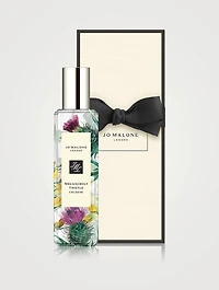 Melancholy Thistle Cologne
