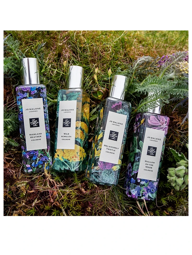 Melancholy Thistle Cologne