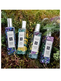 Melancholy Thistle Cologne