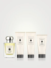 Mr. Malone Travel Collection
