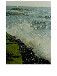 Wood Sage And Sea Salt Travel Collection