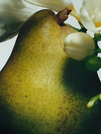 English Pear & Freesia Hand Cream Duo