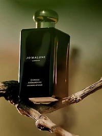 Woody Cologne Intense Trio