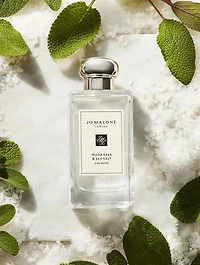 Most-Loved Mini Travel Cologne Trio Set