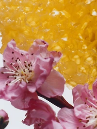 Nectarine Blossom & Honey Home & Away Duo Set