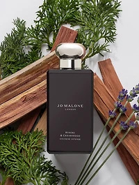 Cypress and Grapevine Set