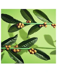 WASO Quick Matte Moisturizer Oil-Free