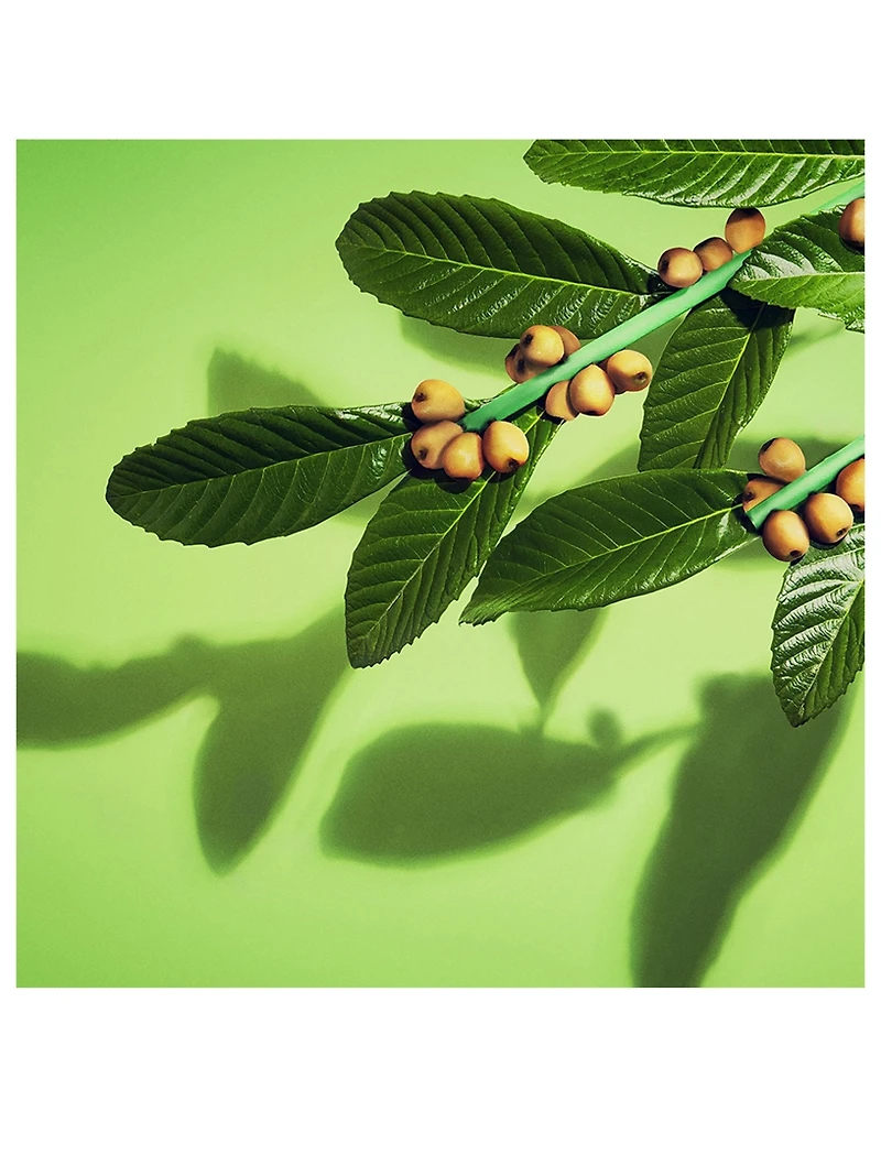 WASO Colour-Smart Day Moisturizer Oil-Free SPF 30