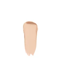 The Concealer N Stick