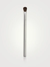 Blender Brush