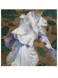 Eyes Closed Eau de Parfum