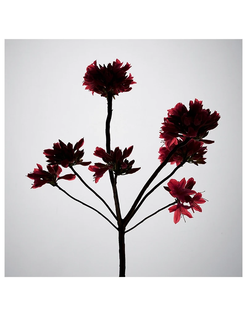 Rouge Chaotique Night Veil