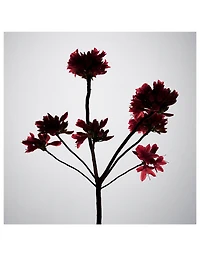 Rouge Chaotique Night Veil