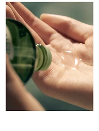 The Rejuvenating Rituals Collection