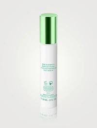 Lifting Concentrate