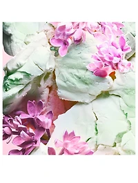 Allegra Dolce Estasi Eau de Parfum