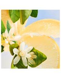 Allegra Riva Solare Eau de Parfum