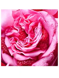 Allegra Fiori d’Amore Eau de Parfum