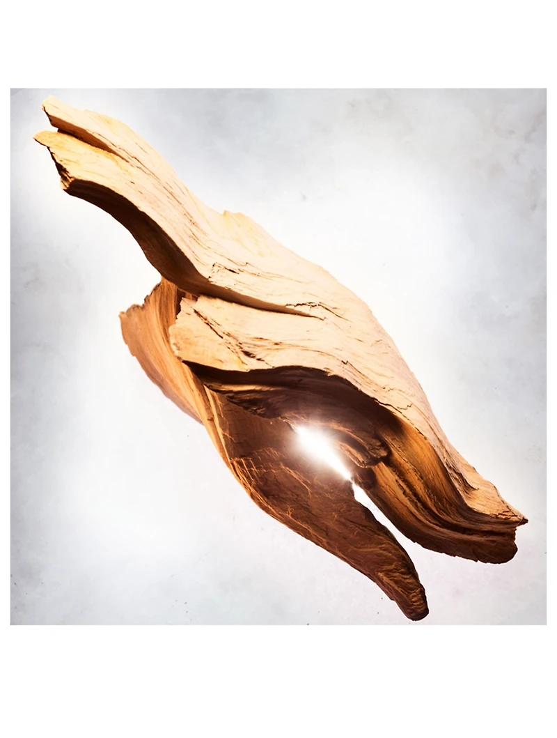 Allegra Magnifying Sandalwood Essence