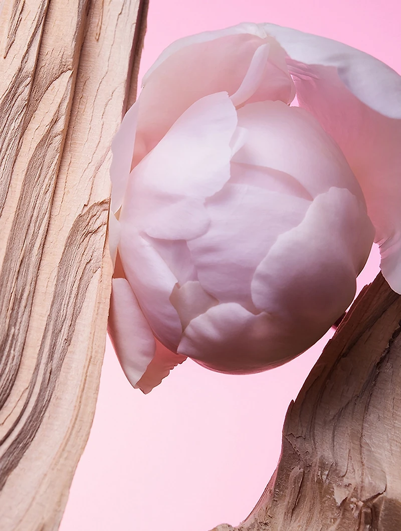 Allegra Insieme Eau de Parfum