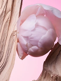 Allegra Insieme Eau de Parfum