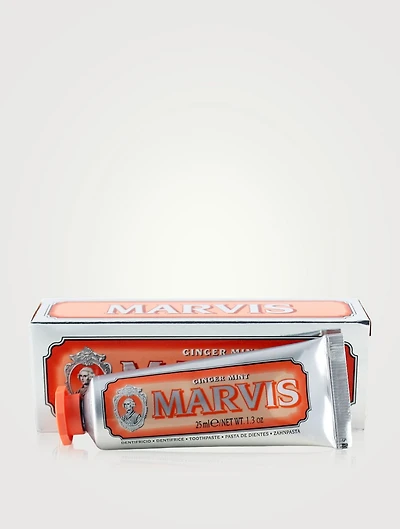 Ginger Mint Toothpaste - Travel Size