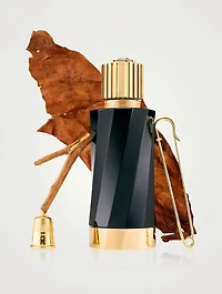 Atelier Versace Tabac Imperial Eau de Parfum