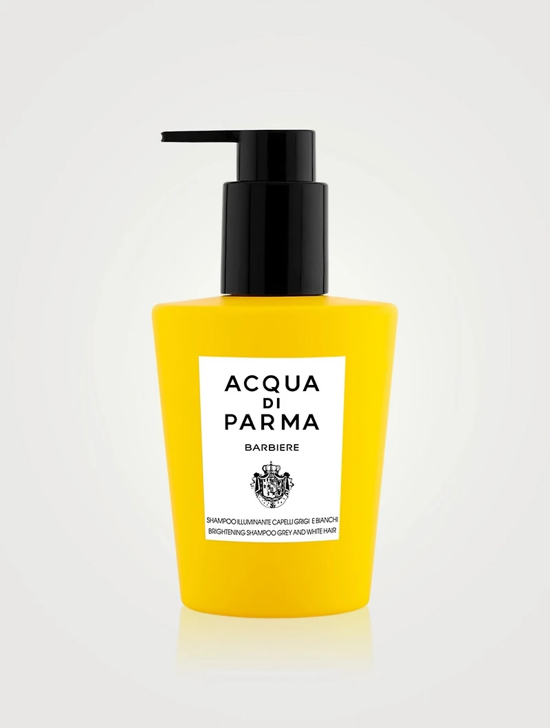 Brightening Shampoo For Grey And White Hair
