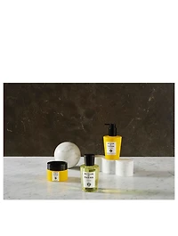 Brightening Shampoo For Grey And White Hair