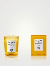 Summer Fragrance Bundle